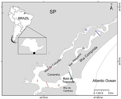 Planning Conservation Strategies of Guiana Dolphin Related to Canal Flow and Habitat Changes in the Estuarine Lagunar Complex of Cananéia